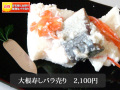 ���ߤ�����纬���ʥХ����2100��