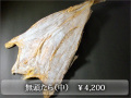 ̵Ƭ�����極����