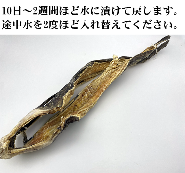 だらりらたらりら様へ⑦ ドラマCD「幕が下りたら僕らは番」 - フロンティアワークス公式