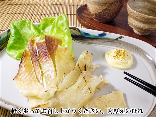 肉厚のえいひれ