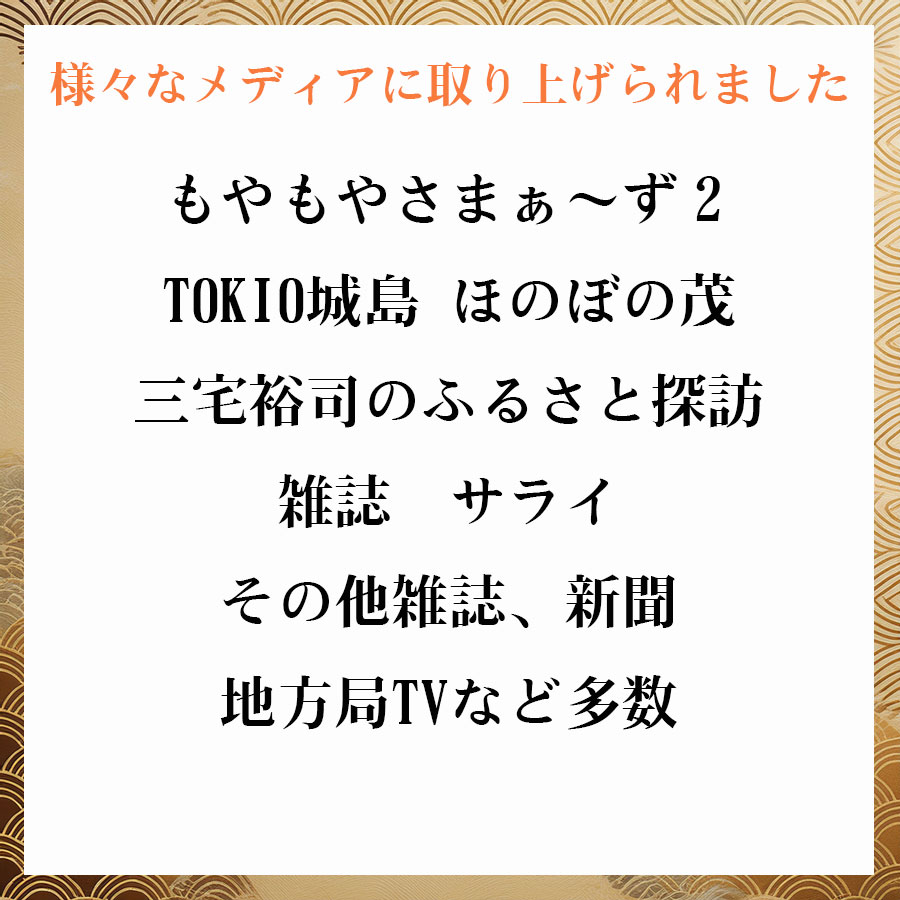 メディア紹介
