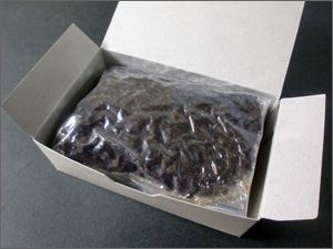 彩り小箱しその実中身写真